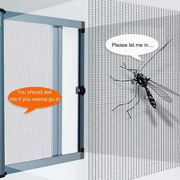Vài điều thú vị về muỗi có thể bạn chưa biết